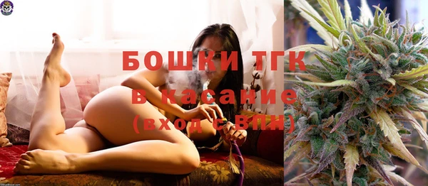 стаф Абинск