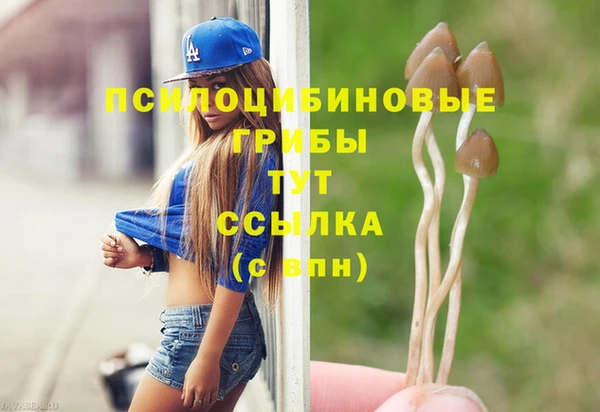 прущая мука Кодинск