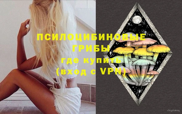 стаф Абинск