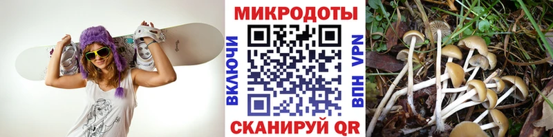 Галлюциногенные грибы ЛСД  даркнет сайт  Челябинск 